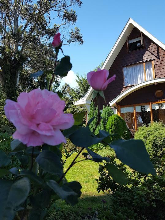 Canales Del Sur B&B & Spa Puerto Varas Dış mekan fotoğraf